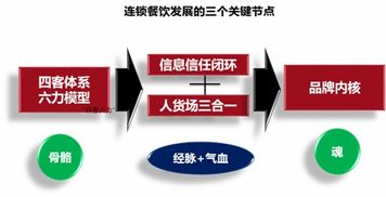 連鎖與互聯網銷售 錦坤的品牌營銷之道